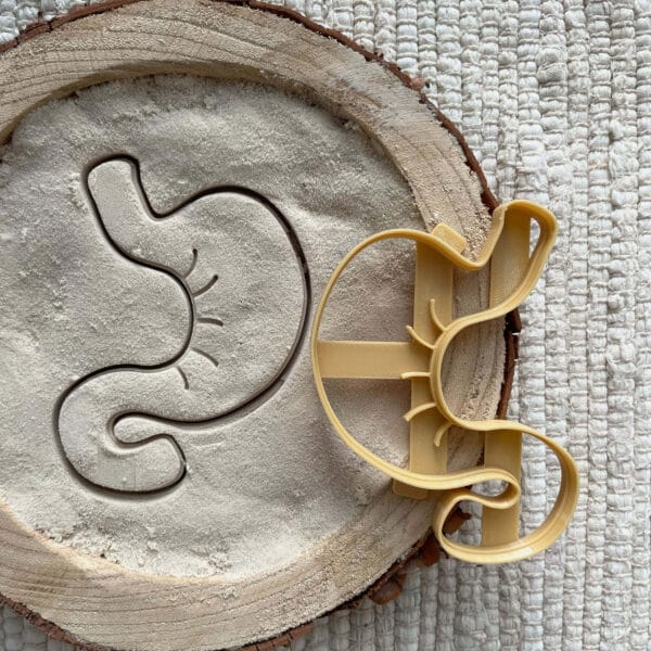 photos4_0015_Background_0007_IMG_8294 Żołądek - wykrojnik