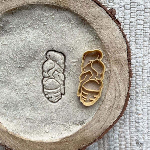 Poczwarka pszczoły – wykrojnik