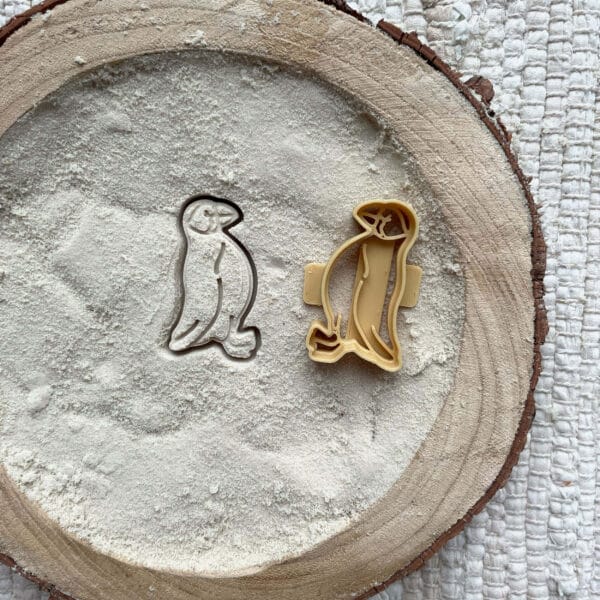 photos4_0023_IMG_8194 Maskonur zwyczajny – wykrojnik