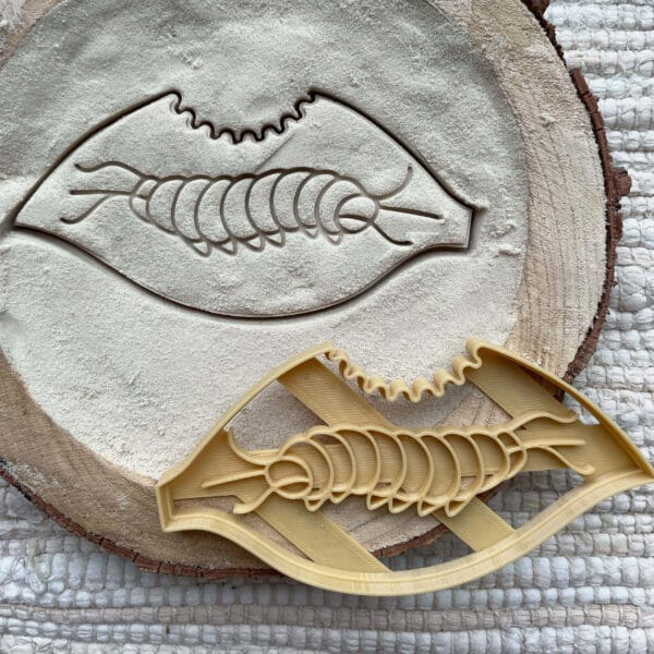 Gąsienica motyla na liściu – wykrojnik