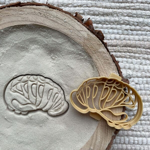 Poczwarka biedronki – wykrojnik